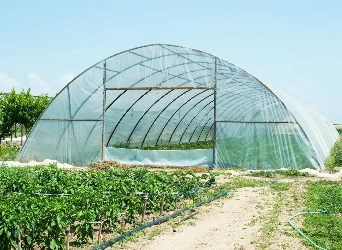 Agricultural greenhouse